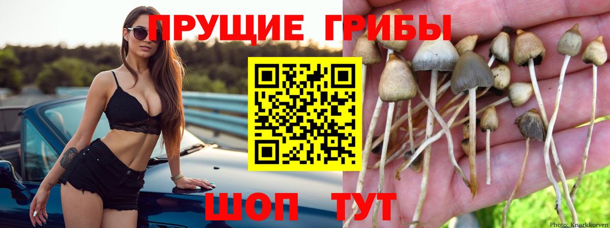 Псилоцибиновые грибы мицелий  Псилоцибиновые грибы Magic Shrooms  Минеральные Воды  Вход с VPN 